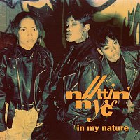 Nuttin' Nyce – In My Nature (Remixes)