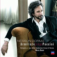 Přední strana obalu CD Nessun Dorma - Fabio Armiliato sings Puccini