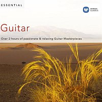 Various  Artists – Essential Guitar