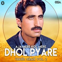 Tahir Niazi – Aja Mere Kol Mere Dhol Pyare, Vol. 2