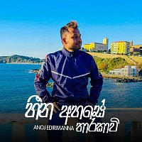 Přední strana obalu CD Heena Ahase Tharakavi