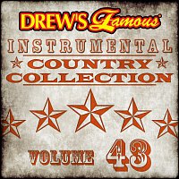 Přední strana obalu CD Drew's Famous Instrumental Country Collection [Vol. 43]