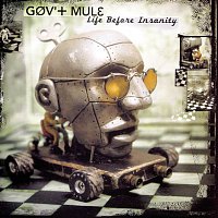 Gov't Mule – Life Before Insanity