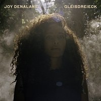 Přední strana obalu CD Gleisdreieck [Deluxe Edition]