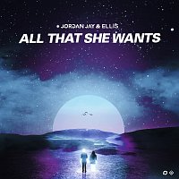 Jordan Jay, Ellis – All That She Wants