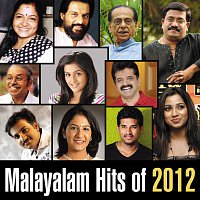 Různí interpreti – Malayalam Hits Of 2012
