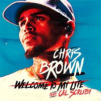 Chris Brown, Cal Scruby – Welcome To My Life