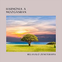 Přední strana obalu CD Harmónia a mozgásban