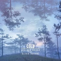 Přední strana obalu CD Cold