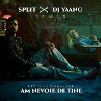 Liviu Teodorescu, SPLIT, DJ Yaang – Am nevoie de tine [Split x DJ Yaang Remix]