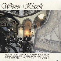 Various  Artists – Wiener Klassik