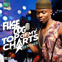 Fuse ODG – Top Of My Charts [Remixes]