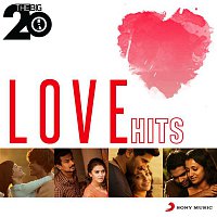 Various  Artists – The Big 20 (Love Hits)