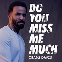 Craig David – Do You Miss Me Much