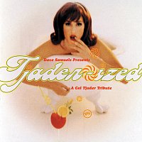 Dave Samuels – Dave Samuels Presents Tjader-Ized (A Tribute To Cal Tjader)