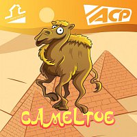 ACP – Cameltoe
