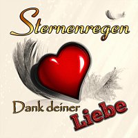 Přední strana obalu CD Dank deiner Liebe