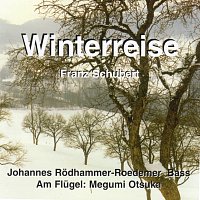 Přední strana obalu CD Winterreise