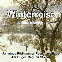Johannes Rodhammer-Roedemer – Winterreise