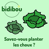Bidibou – Savez-vous planter les choux ?