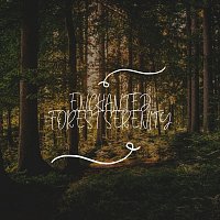 Brain Food – Enchanted Forest Serenity
