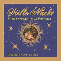 Stille Nacht in 15 Sprachen & 25 Versionen