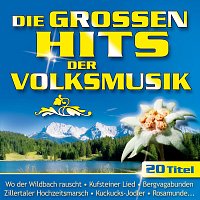 Přední strana obalu CD Die großen Hits der Volksmusik - Folge 1