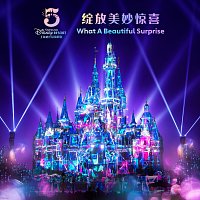 Jane Zhang – What A Beautiful Surprise [Shanghai Disney Resort 5th Anniversary Theme Song]