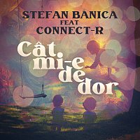 Stefan Banica, Connect-R – Cat mi-e de dor