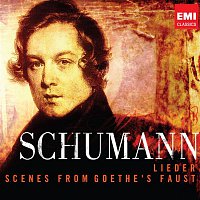 Přední strana obalu CD Schumann - 200th Anniversary Box - Lieder