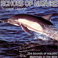 Delta Music – Echoes of Nature
