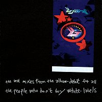 The Best Mixes From The Album - Debut [For All The People Who Don't Buy White-Labels]