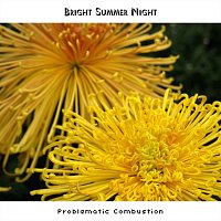 Bright Summer Night