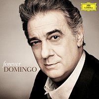 Přední strana obalu CD Forever Domingo