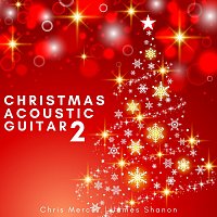 Chris Mercer, James Shanon – Christmas Acoustic Guitar 2