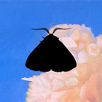 Chairlift – Moth to the Flame (Whatever/Whatever Remix)