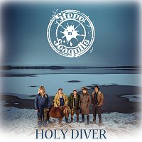 Steve ‘n’ Seagulls – Holy Diver