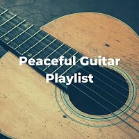 Arlo Vega, Aleko Nunez, Daniel Flowers, Lucas Silver – Peaceful Guitar Playlist