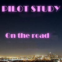 Pilot Study – On the Road