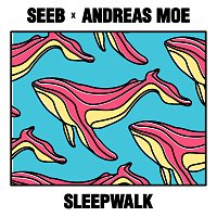 Seeb, Andreas Moe – Sleepwalk
