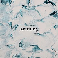 Přední strana obalu CD Awaiting