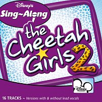 Různí interpreti – Cheetah Girls 2 Sing A Long