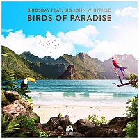 Birdsday, Big John Whitfield – Birds of Paradise (feat. Big John Whitfield)