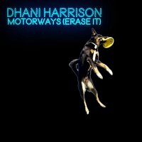 Dhani Harrison – Motorways (Erase It)