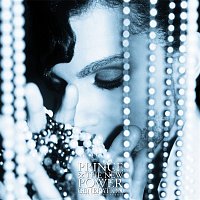 Prince & The New Power Generation – Insatiable (Early Mix)