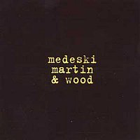 Medeski Martin & Wood – Combustication
