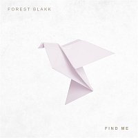 Přední strana obalu CD Find Me