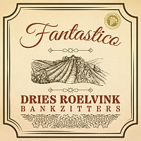 Dries Roelvink, Bankzitters – Fantastico