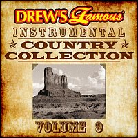 The Hit Crew – Drew's Famous Instrumental Country Collection, Vol. 9
