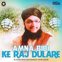 Al Haaj Hafiz Muhammad Tahir Qadri – Amna Bibi Ke Raj Dulare